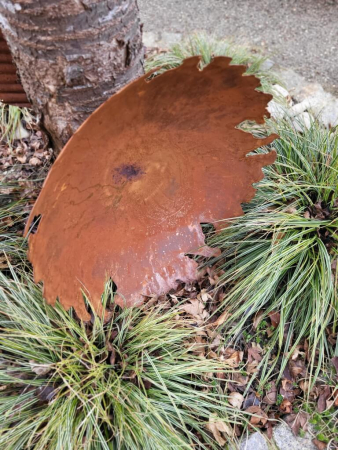 Edelrost Schale fransig