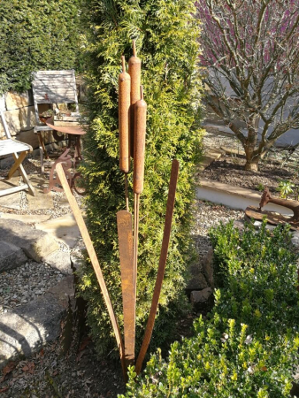 Preview: Edelrost Rohrkolben zum Stecken