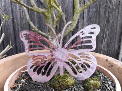 Edelrost Schmetterling Anette mit Streifen