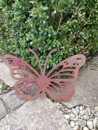 Edelrost Schmetterling Anette mit Streifen