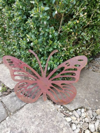 Edelrost Schmetterling Anette mit Streifen
