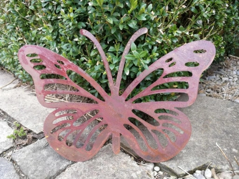 Edelrost Schmetterling Anette mit Streifen