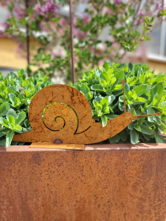Edelrost Schnecke auf Platte