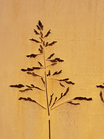 Edelrost Sichtschutzwand Gräser filigran