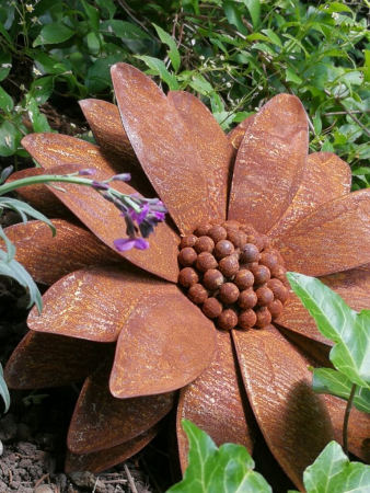 Edelrost Sonnenblume