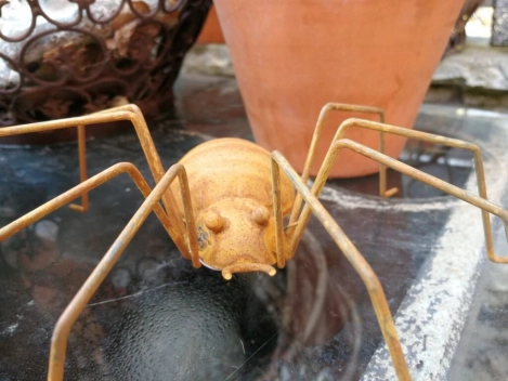 Edelrost Spinne Chuck