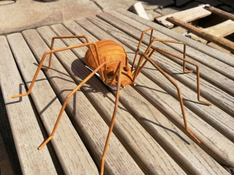 Edelrost Spinne Chuck