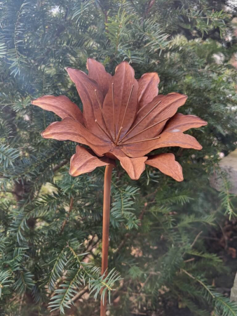 Edelrost Blume Alessia