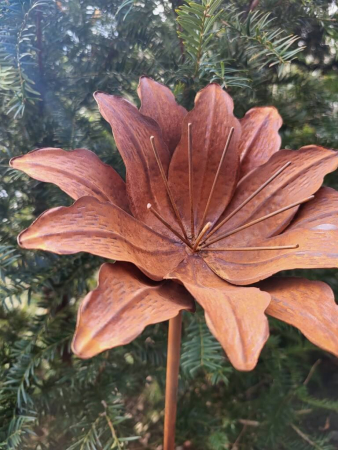 Preview: Edelrost Blume Alessia