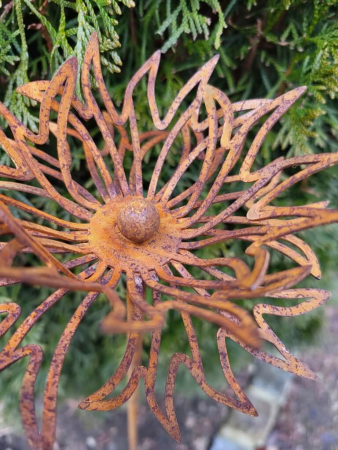 Preview: Edelrost Topfstecker Blüte Hanni