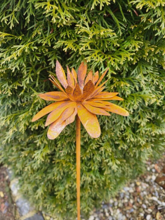 Edelrost Topfstecker Blüte Pippie