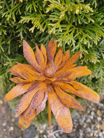 Edelrost Topfstecker Blüte Pippie