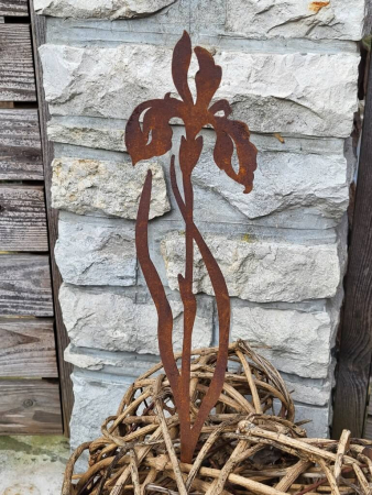 Edelrost Topfstecker Iris