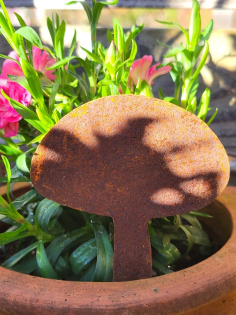 Preview: Edelrost Steinpilz zum Stecken