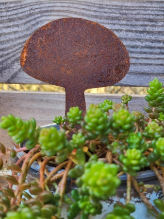 Preview: Edelrost Steinpilz zum Stecken