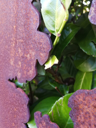 Preview: Edelrost Sichtschutzelement Stele Riss, 180 cm, oben offen