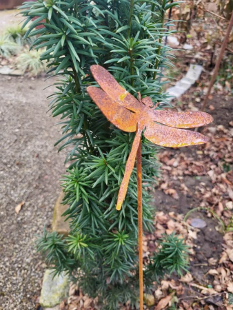 Preview: Edelrost Topfstecker Libelle, geschlossen