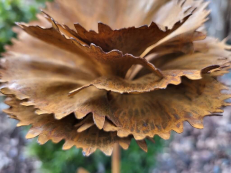 Preview: Edelrost Topfstecker Blume Nelke