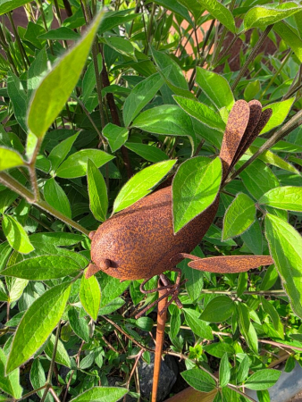 Preview: Edelrost Gartenstecker Vogel Nicki