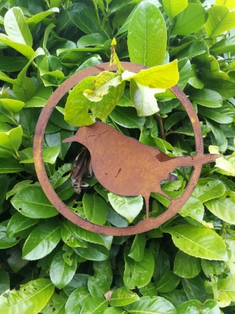 Edelrost Vogel im Ring, Amsel