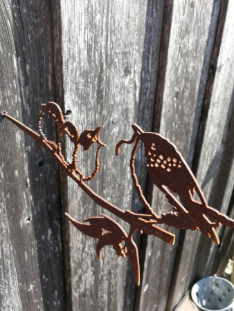 Edelrost Vogel bei der Fütterung, zum Stecken