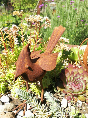 Edelrost Vogel Ignaz