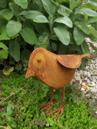 Edelrost Vogel Peter