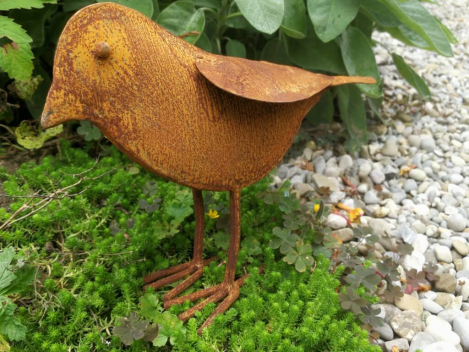 Edelrost Vogel Peter