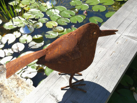Edelrost Vogel Riccarda
