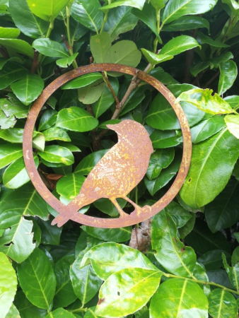 Edelrost Vogel im Ring, nach hinten schauend