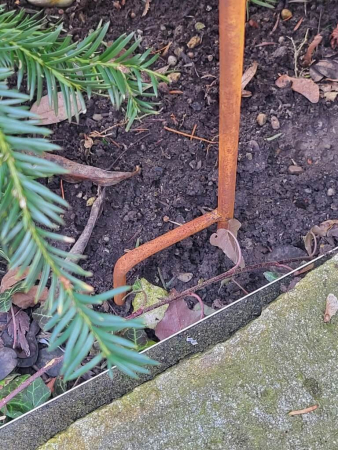 Preview: Edelrost Vogelhaus Amy, zum Stecken, rund