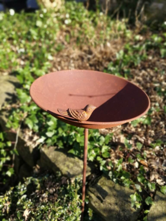 Edelrost Vogeltränke Roya mit Vogel