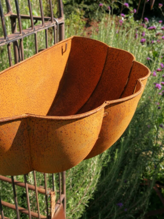 Edelrost Wandkorb Muschel