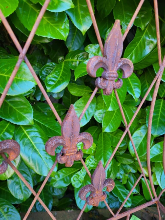 Edelrost Wandjardiniere mit Lilien, groß