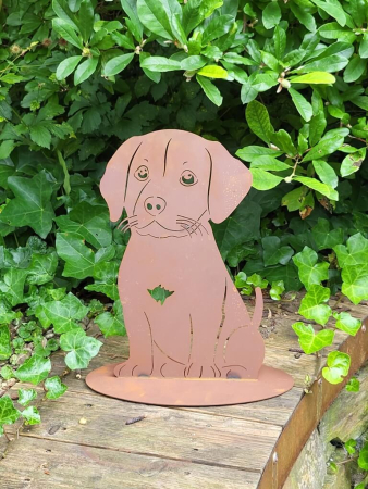 Preview: Edelrost Welpe Rocky