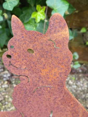 Edelrost stehender Hund mit Schmetterling