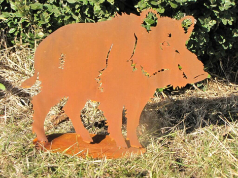 Edelrost Wildschwein Gunnar
