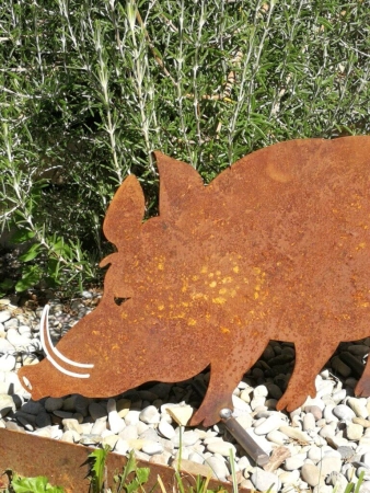 Edelrost Wildschwein Wolfgang