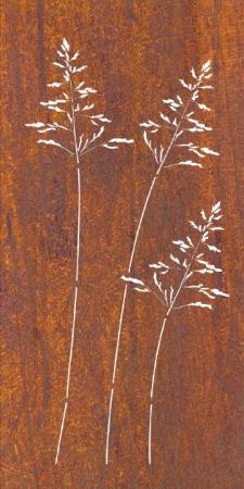 Edelrost Sichtschutzwand Gräser filigran