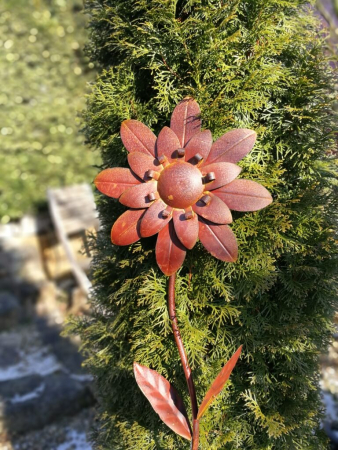 Edelrostoptik Blume Cherry