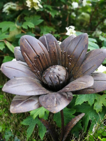 Edelrostoptik Blume Lea (spitze Blätter)
