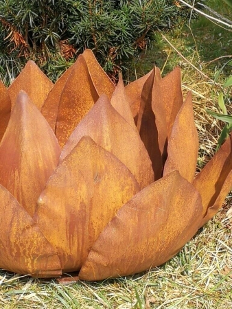 Edelrost Agave