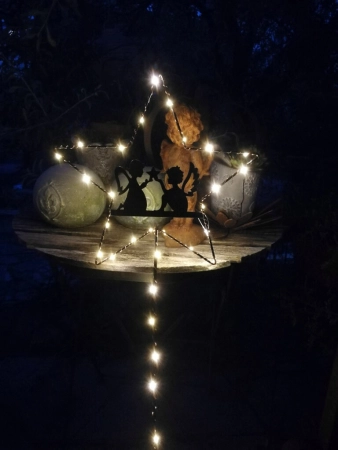 LED Gartenstecker Stern