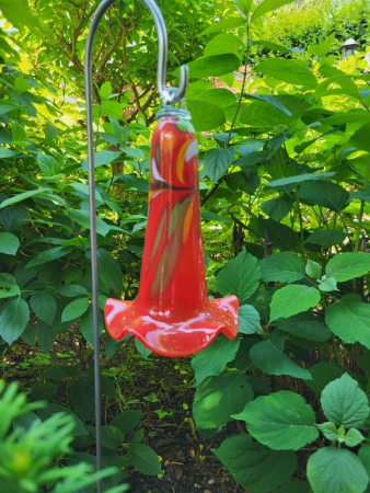 Glas Glockenblume Rot, zum Stecken