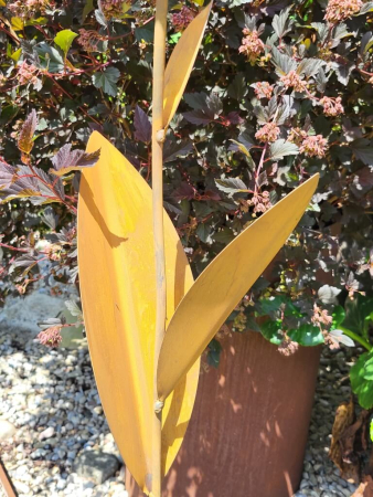 Preview: Edelrost Glasblume Antigua, Lava