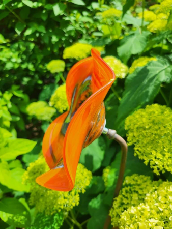 Edelrost Glasblume Antigua, orange