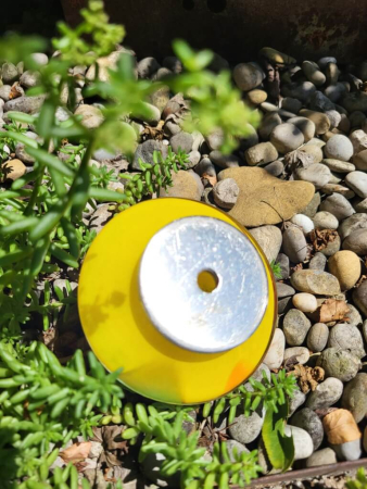 Edelrost Glasblume Ufo, gelb
