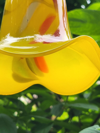 Preview: Glas Glockenblume Gelb, zum Stecken