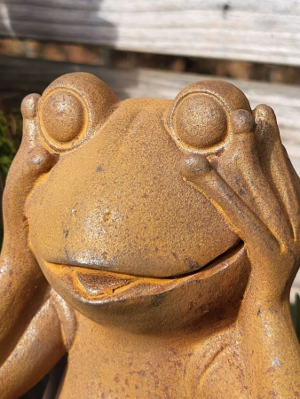 Gusseisen Frosch Matty