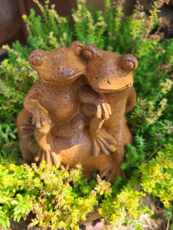 Gusseisen Froschpaar auf Stein